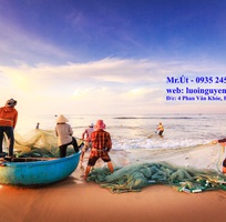 Lưới vét kéo cá, lưới nguyễn út