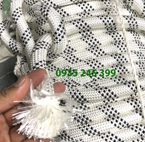 8 Dây dù đu dây sơn nước