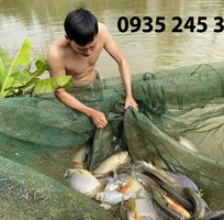 1 Lưới vét kéo cá, lưới nguyễn út
