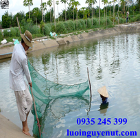 4 Lưới vét kéo cá, lưới nguyễn út