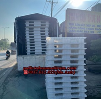5  Thanh Lí Pallet Nhựa Bến Tre   Giá Rẻ Kịch Sàn, Mua Là Mê  