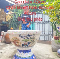 7 Chậu miểng to, chậu cây cảnh