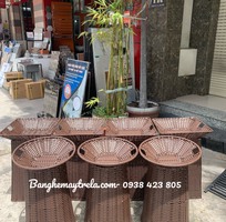 3 Sọt trưng trái cây mây nhựa