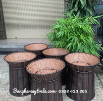 5 Sọt trưng trái cây mây nhựa
