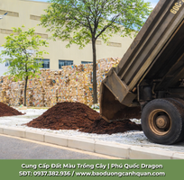 Đất Màu Tơi Xốp Giao Hàng TP.HCM   Đồng Nai