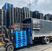 8  Thanh Lí Pallet Nhựa Trà Vinh   Giá Rẻ Bất Ngờ, Lh: 0937.612.822  Ms.Anh   