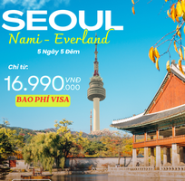 1 Tour Seoul   Đảo Nami   Everland 5N4Đ   Check-in Hàn Quốc Mùa Đẹp Nhất