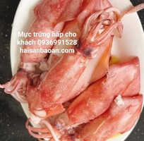 Cần bán mực trứng câu ngon giá tốt