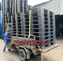  Thanh Lí Pallet Nhựa Cũ   Mới Giá Rẻ Tại Bảo Lộc - Giao Hàng Tận Nơi  