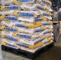 3  Thanh Lí Pallet Nhựa Cũ   Mới Giá Rẻ Tại Bảo Lộc - Giao Hàng Tận Nơi  