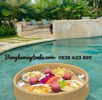 2 Khay nổi hồ bơi