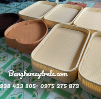 7 Khay nổi hồ bơi