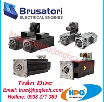 Động cơ điện Brusatori   Brusatori electric motors