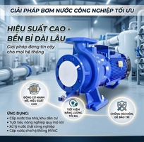 Máy bơm lưu lượng giá rẻ