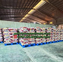 3  Phân Phối Pallet Nhựa Bình Phước Bền Đẹp   Giá Rẻ, Miễn Phí Giao Hàng  