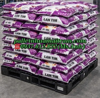 4  Phân Phối Pallet Nhựa Bình Phước Bền Đẹp   Giá Rẻ, Miễn Phí Giao Hàng  