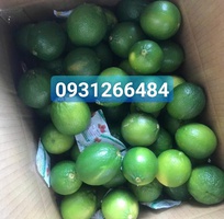 7 Gói hút khí ethylene   Giải pháp chống chín sớm, giữ trái cây tươi lâu