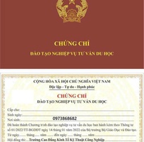 1 Tuyển sinh Đào tạo cấp chứng chỉ Tư vấn du học