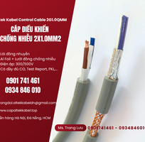 2 Cáp điều khiển tín hiệu 2x1.0mm2 Altek kabel sẵn Phú Yên, Bình Định, Nha Trang