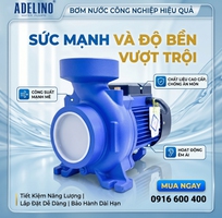 Máy bơm lưu lượng giá rẻ