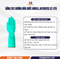 Găng Tay Chống Hóa Chất Ansell AlphaTec 37-176   Bám ướt tốt, phù hợp xử lý hóa chất   dầu mỡ