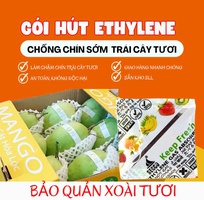 Gói Hút Ethylene   Giữ Tươi Trái Cây, Hạn Chế Hư Hỏng Khi Vận Chuyển
