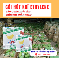7 Gói Etipo chống chín siêu cấp cho xoài giá rẻ nhất