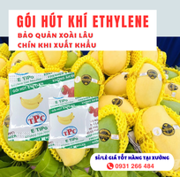 8 Gói Etipo chống chín siêu cấp cho xoài giá rẻ nhất