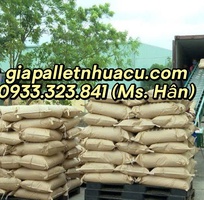 Pallet nhựa Cần Thơ - cân cả thế giới  