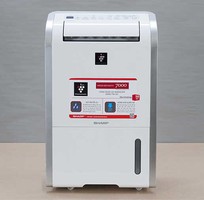 Máy hút ẩm Sharp các dòng lớn nhỏ
