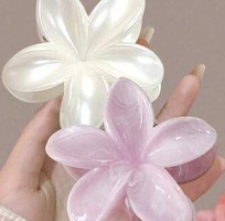 2 Kẹp Tóc Hoa Tuna Aesthetic Để Luôn Nổi Bật.
