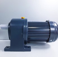 1 Motor giảm tốc