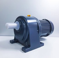 2 Motor giảm tốc