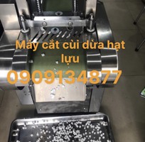 Máy cắt hạt lựu dừa làm viên trân chân dừa, máy cắt hạt lựu cơm dừa, máy cắt hạt lựu viên trân châu