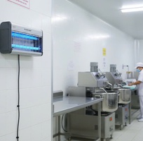 3 Đèn diệt côn trùng ANH Quốc PZ3-30AL