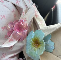 Kẹp hoa râm bụt