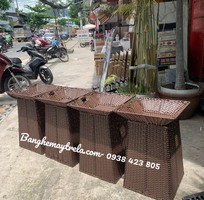 3 Khay trưng bày trái cây hình vuông