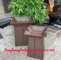 4 Khay trưng bày trái cây hình vuông