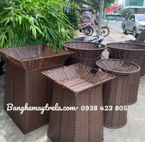 5 Khay trưng bày trái cây hình vuông