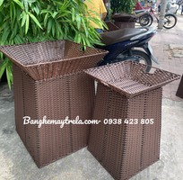 6 Khay trưng bày trái cây hình vuông