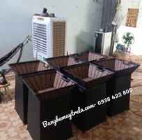 8 Khay trưng bày trái cây hình vuông