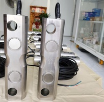 Load cell   Cảm biến trọng lượng DDR-50T, xuất xứ Italy