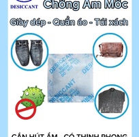 6 Gói Hút Ẩm Cho Giày Dép Xuất Khẩu