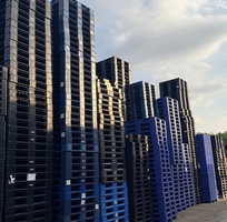 3  Kho  Thất Thủ  - Cần Giải Cứu Pallet Nhựa Cũ Gấp Gấp  