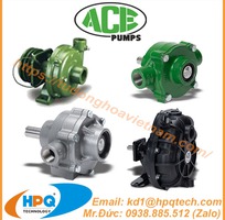 Bơm con lăn Ace Pumps   Ace Pumps Việt Nam
