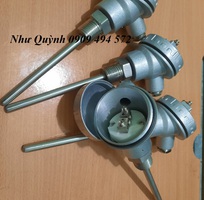 1 Dò nhiệt củ hành phi 6 100