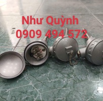 Dò nhiệt củ hành phi 6 100