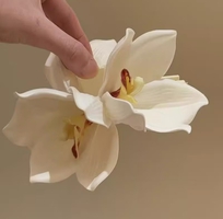 Kẹp Hoa Mộc Lan