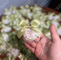 4 Nhận Cung Cấp Quạt Giấy Cầm Tay, Thẻ Tag Giấy Và Nơ Theo Yêu Cầu Tại Laser Nam Việt
