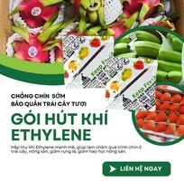 Chống Chín Sớm Trái Cây Bằng Gói Hút Ethylene Cho Doanh Nghiệp Xuất Xa